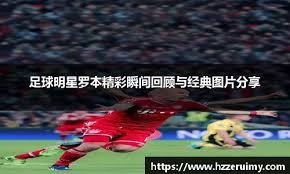 解析明尼苏达双城队如何利用球场设计抵御北极寒流